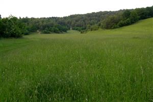 celkový pohľad na lokalitu